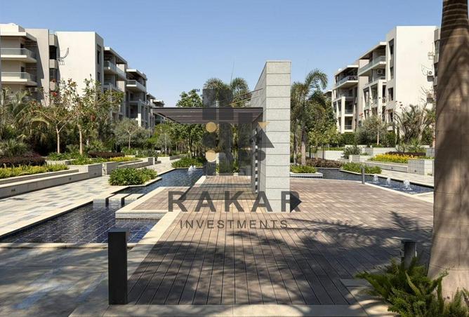 97725203 - Property Image 2