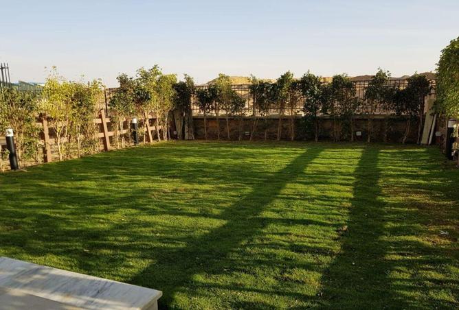 8698987 - Property Image 3