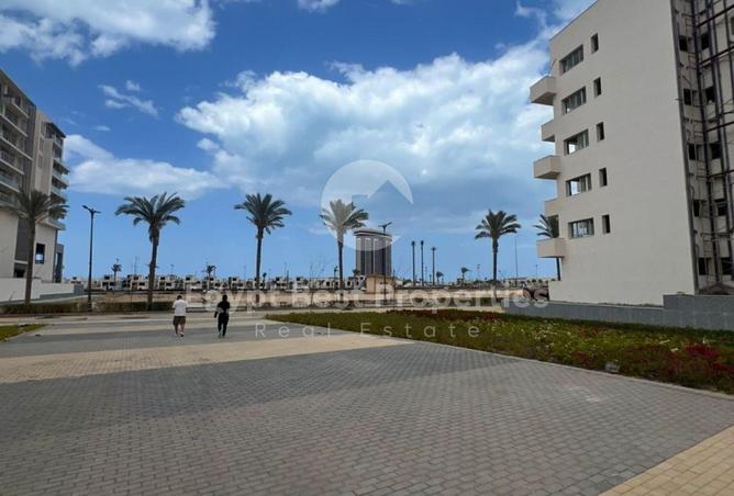 56253236 - صورة العقار 3