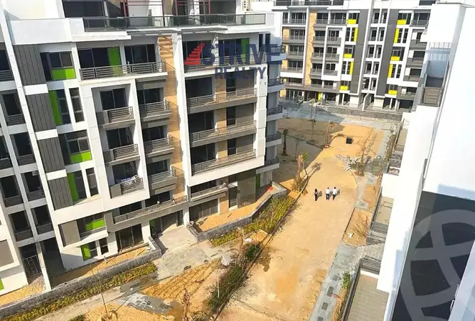 116748835 - Property Image 3