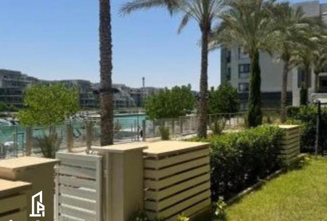 53477229 - صورة العقار 3