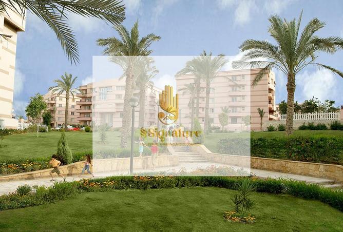 65925761 - صورة العقار 3