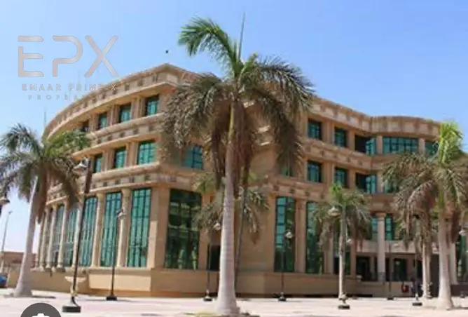 109630096 - صورة العقار 3