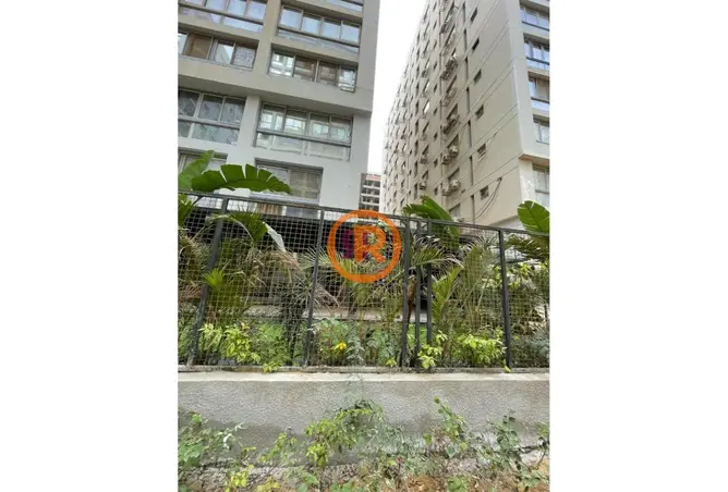 111603245 - Property Image 2
