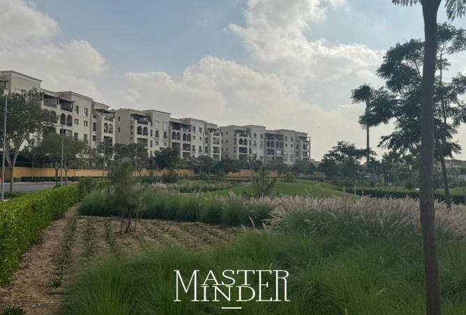 81839203 - Property Image 3