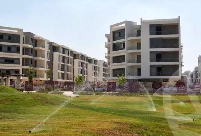 54761494 - Property Image 3