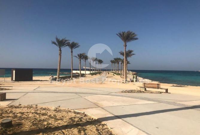 8559263 - صورة العقار 3