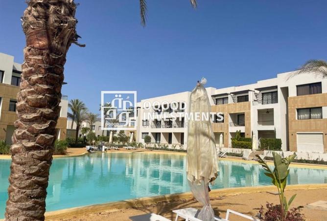 8482554 - Property Image 3