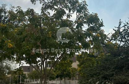 Townhouse - 3 - 3 for sale in PX Palm Hills - 6 October Compounds - 6 October City - Giza