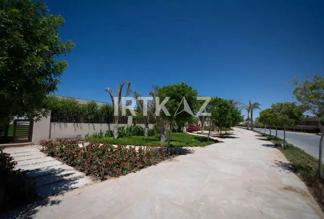 113537312 - صورة العقار 3