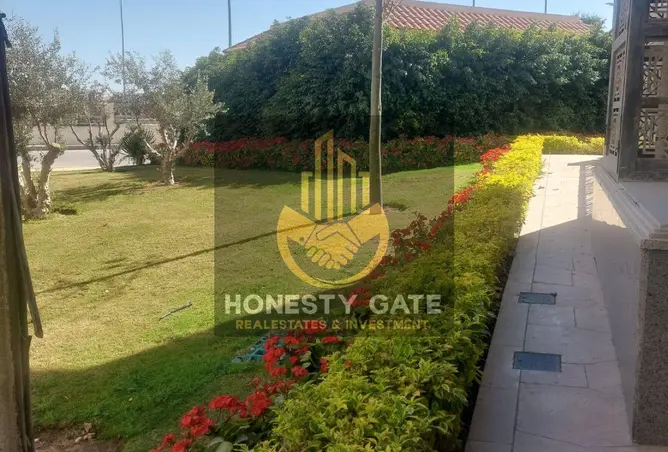 115718462 - صورة العقار 3