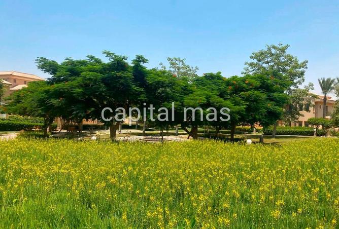 93261880 - Property Image 3
