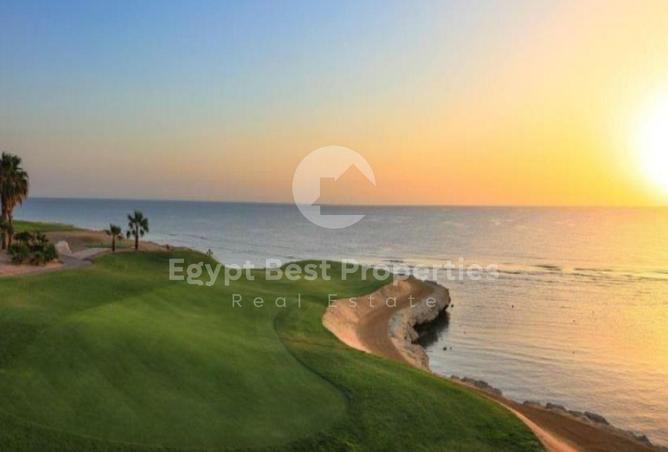 8552774 - Property Image 3