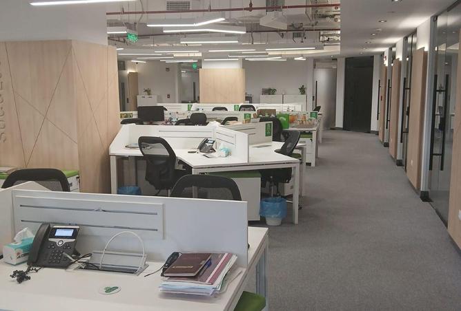 62300058 - Property Image 3