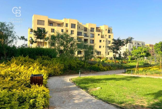 53985957 - الصورة الرئيسية للعقار