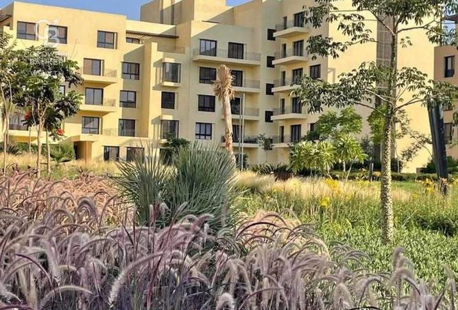 53985957 - صورة العقار 3