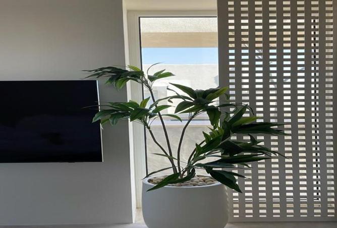 51172019 - Property Image 3