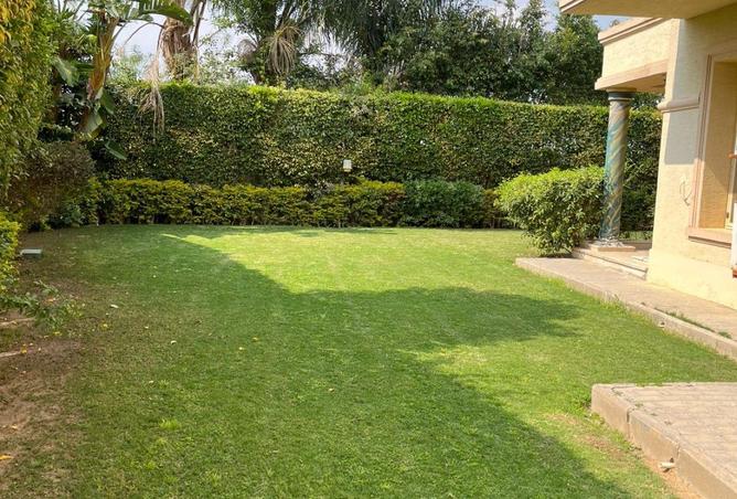 64643863 - صورة العقار 3