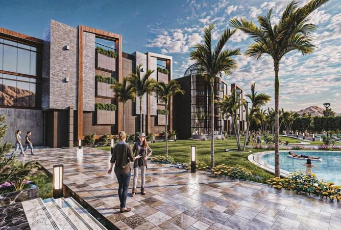 66951326 - صورة العقار 3