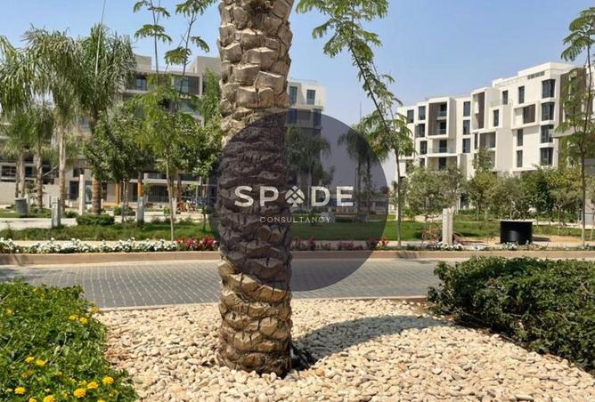 68534017 - صورة العقار 3