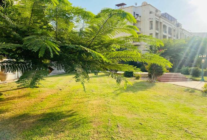 64649085 - الصورة الرئيسية للعقار