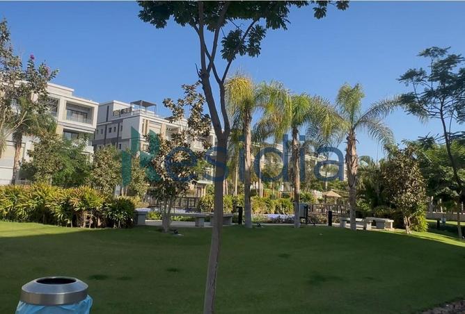 64131540 - Property Image 3