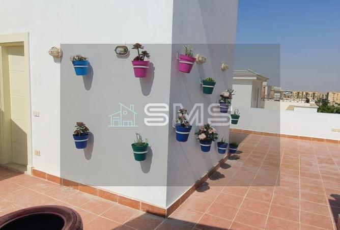 8665809 - Property Image 3