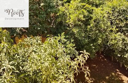 Townhouse - 5 Bedrooms - 4 Bathrooms for rent in Dara Gardens - Northern Expansions - 6 October City - Giza