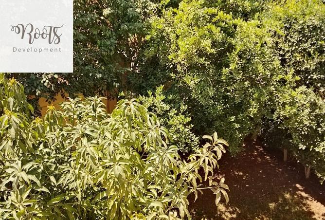 68790379 - صورة العقار 3