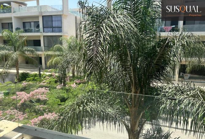 8586347 - الصورة الرئيسية للعقار