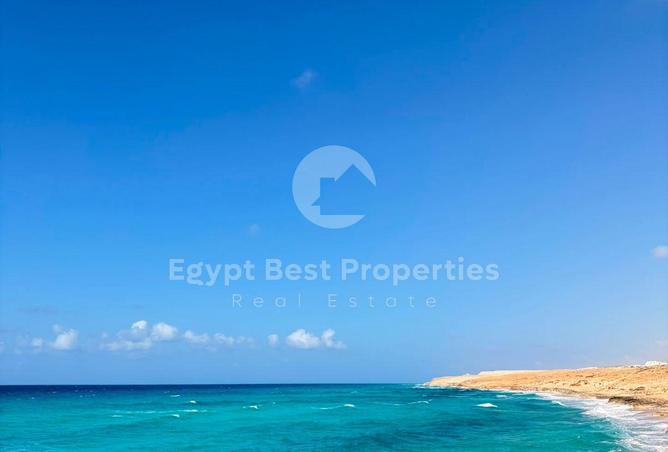 99809813 - صورة العقار 3