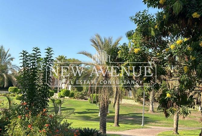 8666581 - صورة العقار 3