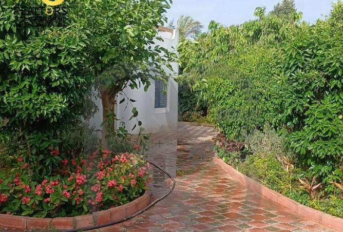 8685177 - الصورة الرئيسية للعقار