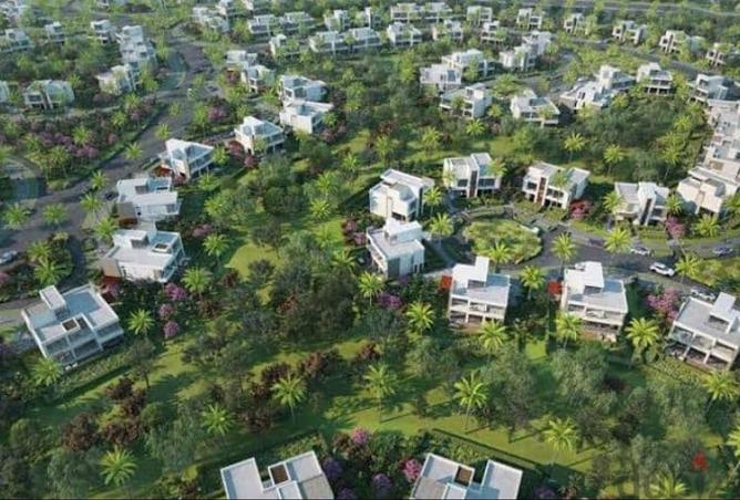 8638994 - Property Image 3