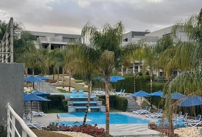 8533106 - Property Image 3