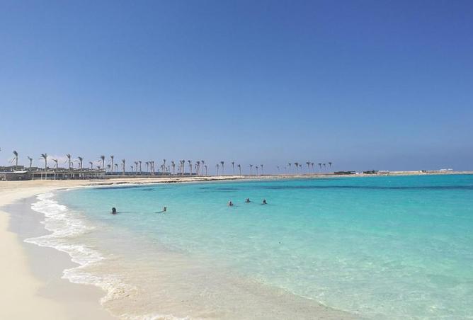 85046301 - صورة العقار 3