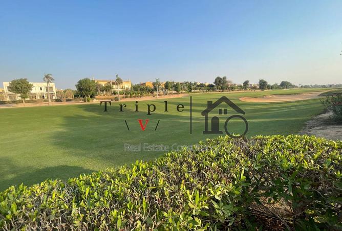 58245526 - Property Image 3