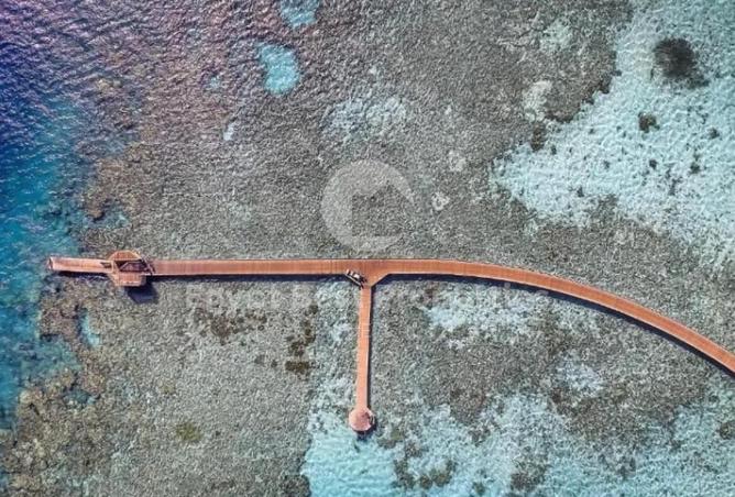 8575083 - الصورة الرئيسية للعقار