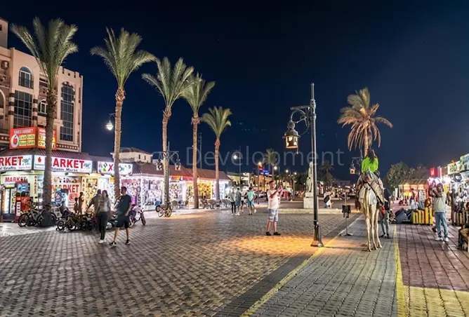 113533806 - صورة العقار 3