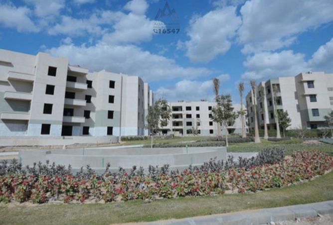 101495401 - صورة العقار 3