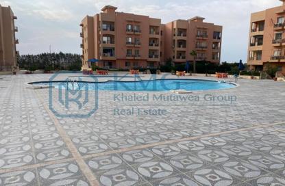 شقة - 2 - 1 للايجار في كمبوند ليك دريم - كمبوندات 6 أكتوبر - مدينة 6 أكتوبر - الجيزة شقة - 2 - 1 للايجار في كمبوند ليك دريم - كمبوندات 6 أكتوبر - مدينة 6 أكتوبر - الجيزة