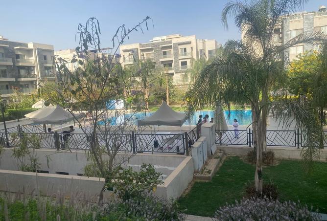 54498493 - Property Image 3