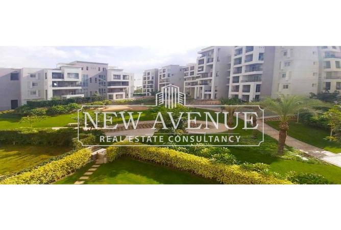 70362878 - صورة العقار 2