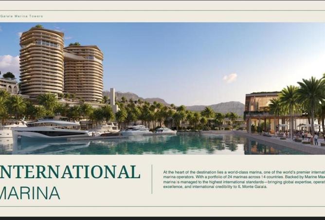 55509641 - صورة العقار 3