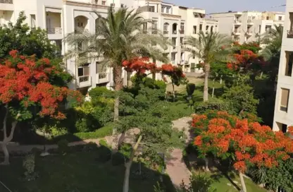 Apartment - 3 Bedrooms - 2 Bathrooms for rent in Hadayek Al Mohandessin - 4th District - Sheikh Zayed City - Giza