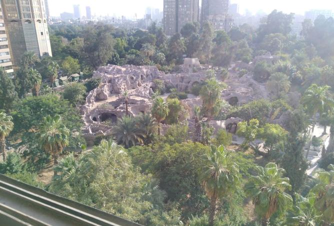 8484548 - Property Image 3