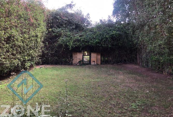 8543235 - Property Image 3