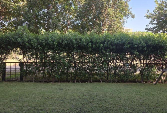 62886839 - صورة العقار 2