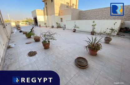 سطح - 5 - 4 للايجار في سرايات المعادي - حي المعادي - القاهرة
