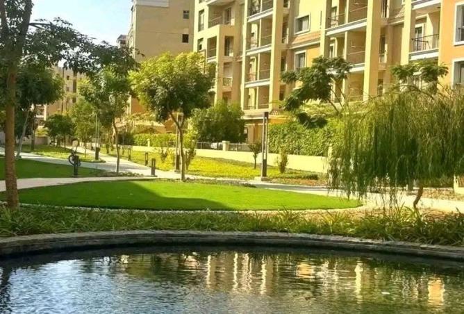 57484536 - صورة العقار 3